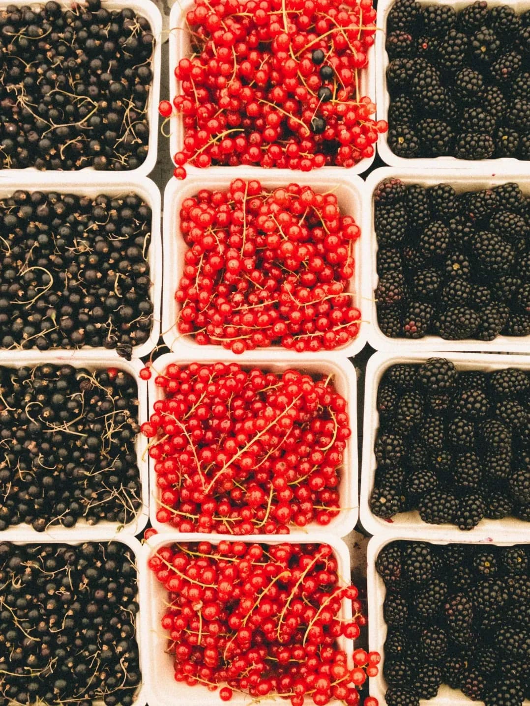 Berry Harvests 14