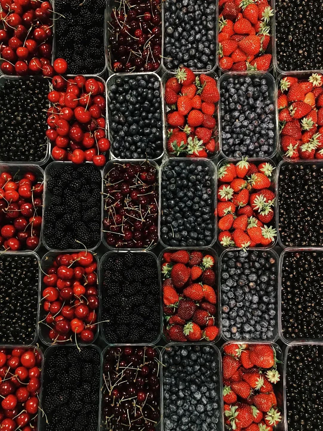 Berry Harvests 7