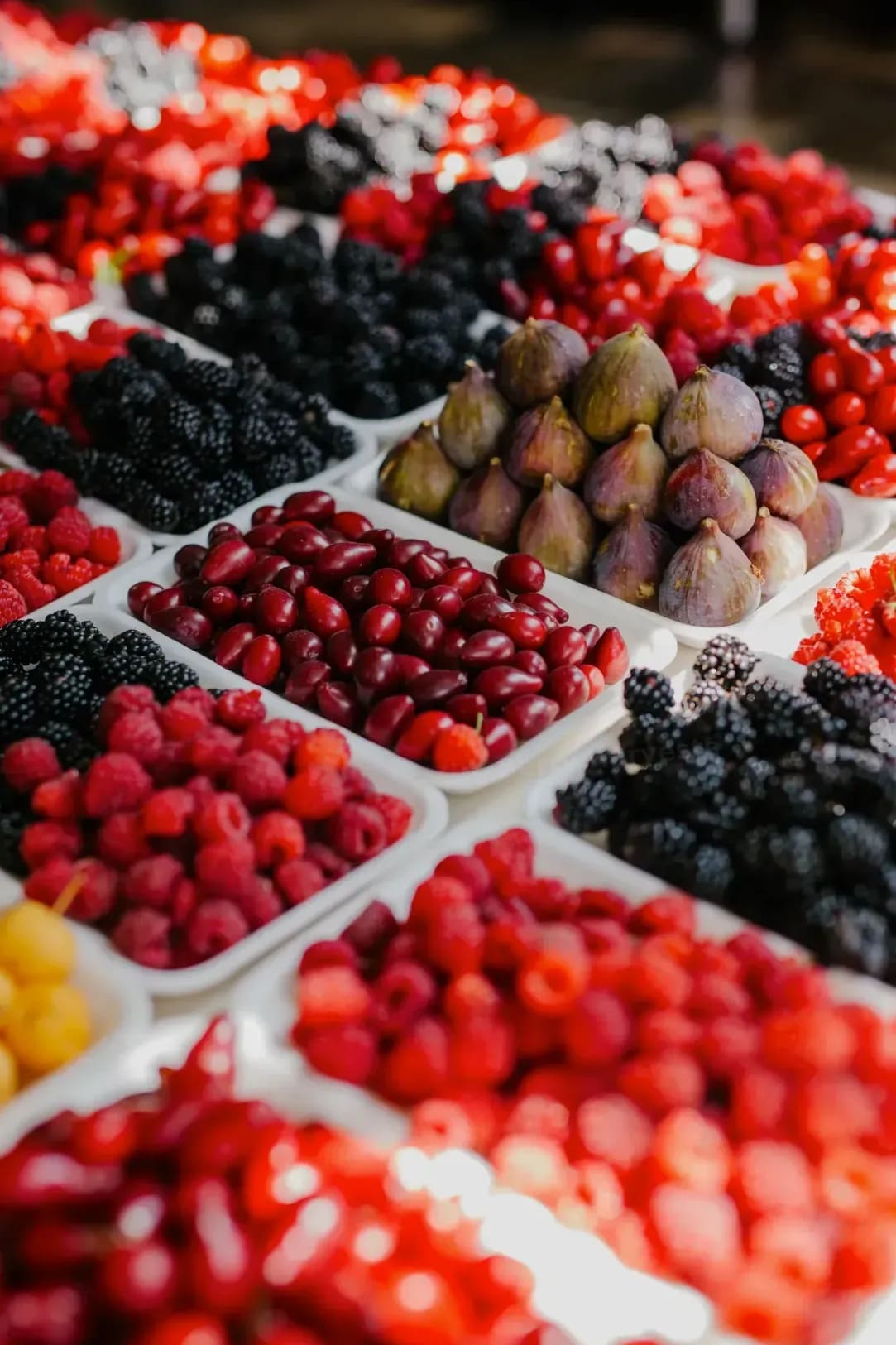 Mixed berry boxes and gift packs